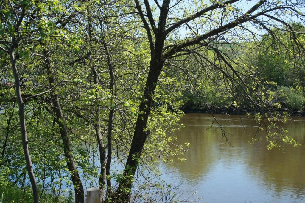 Gite Fleury Baie-Saint-Paul Exterior foto